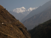Výhľady na Shringgi Himal počas pochodu do Sirdibasu.