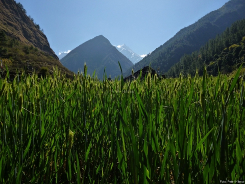 Tsum Valley (2)