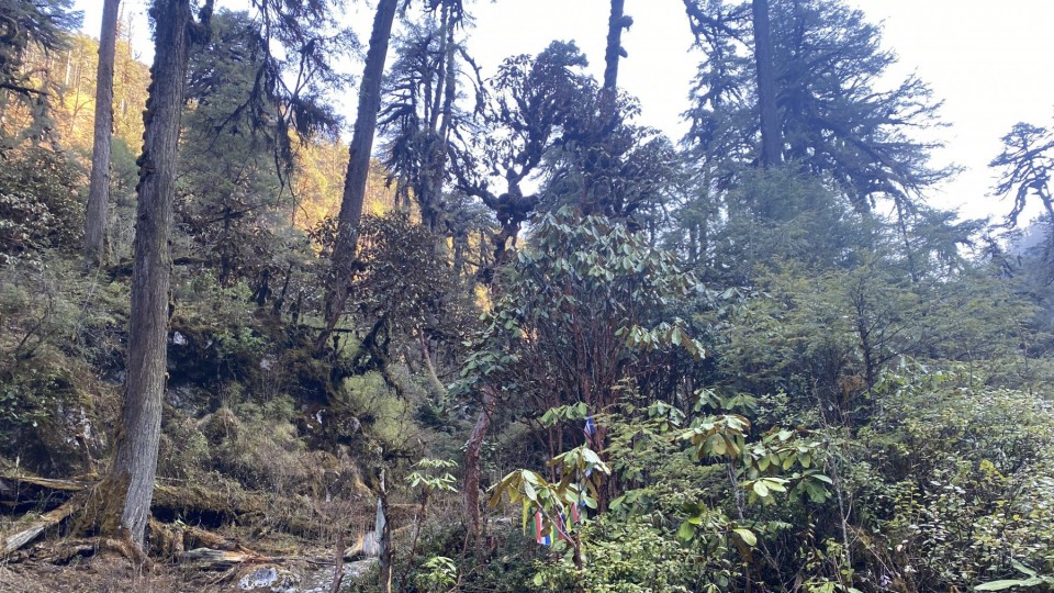 20_Simbuwa-Khola