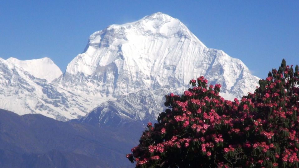 01-Dhaulagiri-z-Poon-Hill