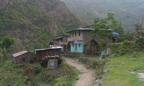 Lapubesi.