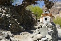 Chhuksang